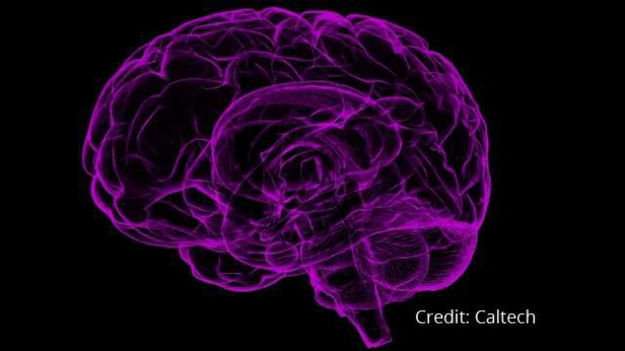 Major Neuroscience Initiative Launched