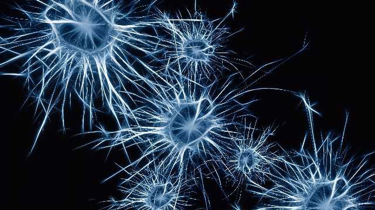 Unique Visual Stimulation May Be New Treatment for Alzheimer’s