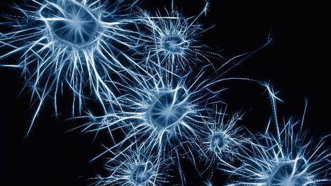 Unique Visual Stimulation May Be New Treatment for Alzheimer’s