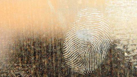 New Markers for Forensic Body-fluid Identification