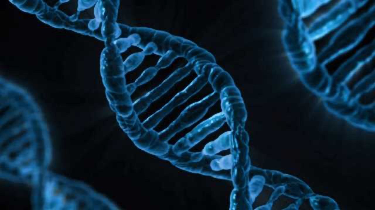 Developing a Next-Generation Forensic DNA Analysis Platform