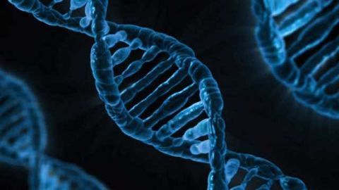 Developing a Next-Generation Forensic DNA Analysis Platform