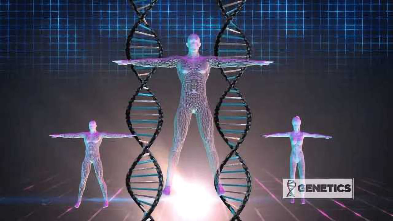 Genetics - Perfect Body Secret