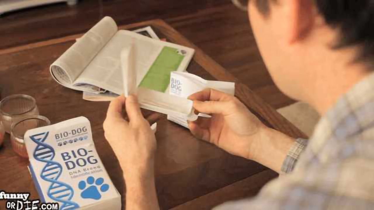 Dog DNA