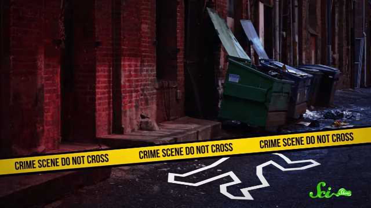 The Real Science of Forensics