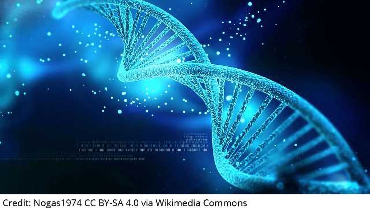 CRISPR – The New Space Race?