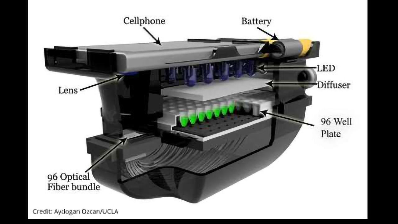 Combatting Antimicrobial Resistance Using Smartphones