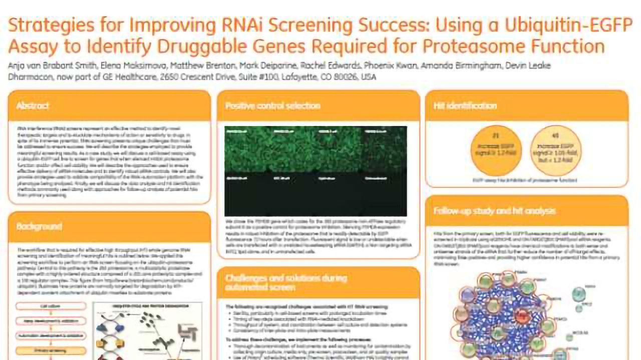 Strategies for Improving RNAi Screening Success: Using a Ubiquitin-EGFP Assay to Identify Druggable Genes Required for Proteasome Function