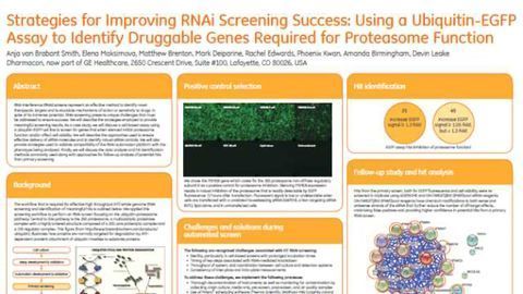 Strategies for Improving RNAi Screening Success: Using a Ubiquitin-EGFP Assay to Identify Druggable Genes Required for Proteasome Function