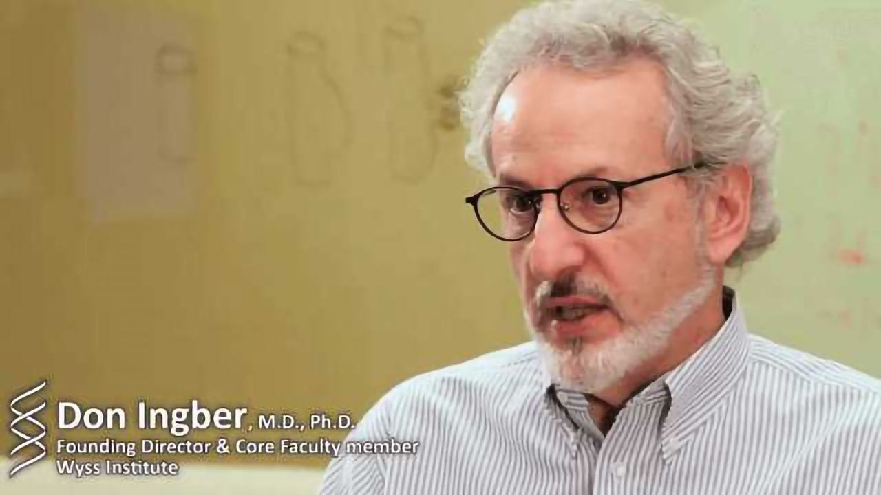 Bioinspired Approach to Sepsis Therapy
