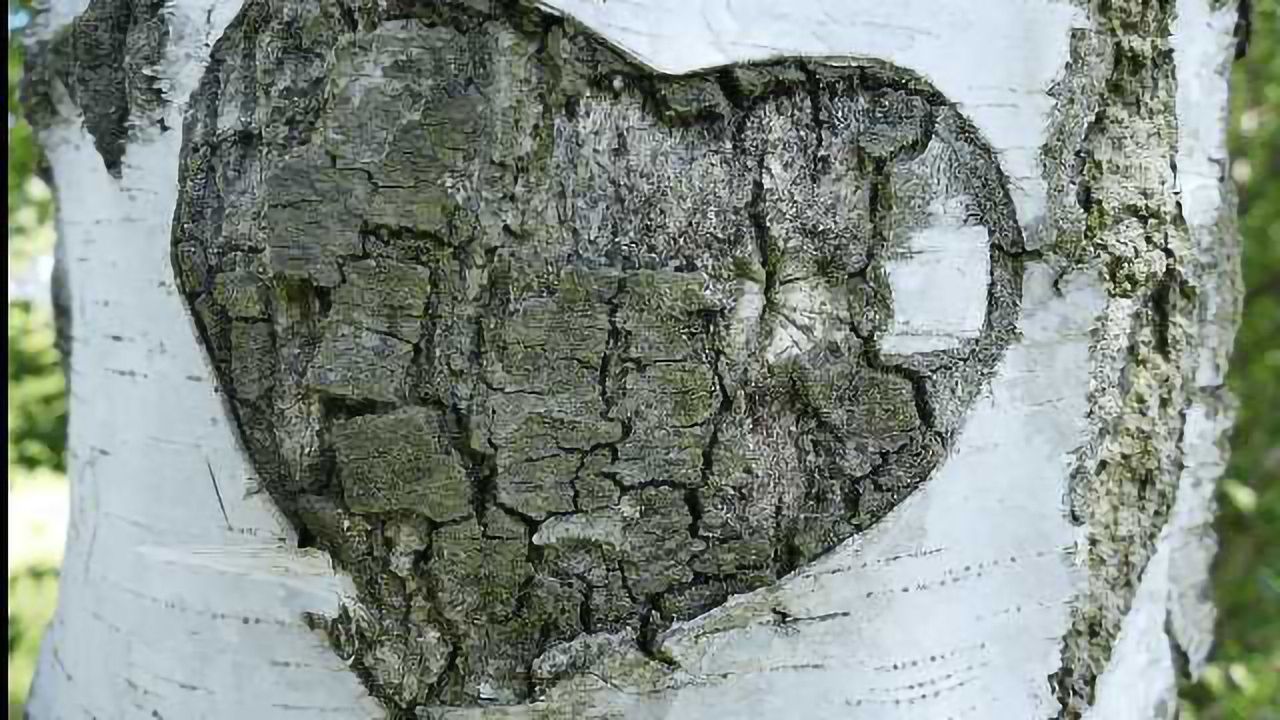Stem Cells to Treat Congenital Heart Disease