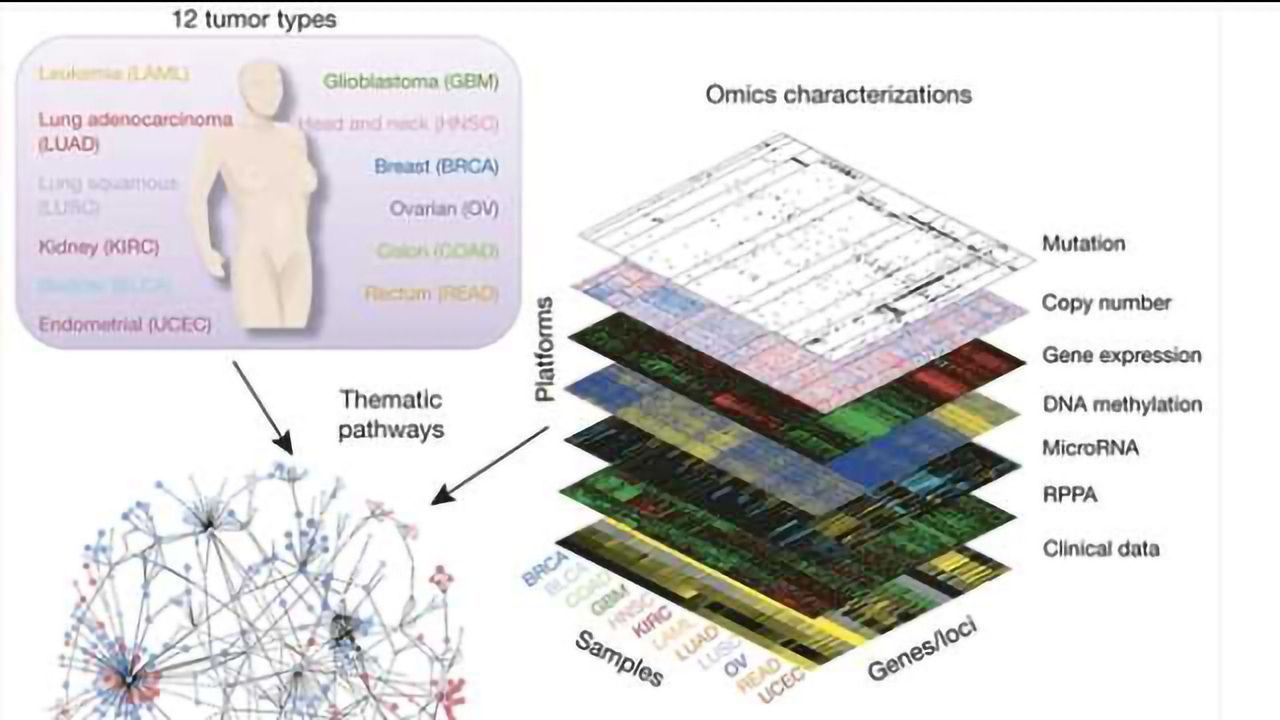 Translating the Cancer Genome: Computational tools inform therapeutic decisions