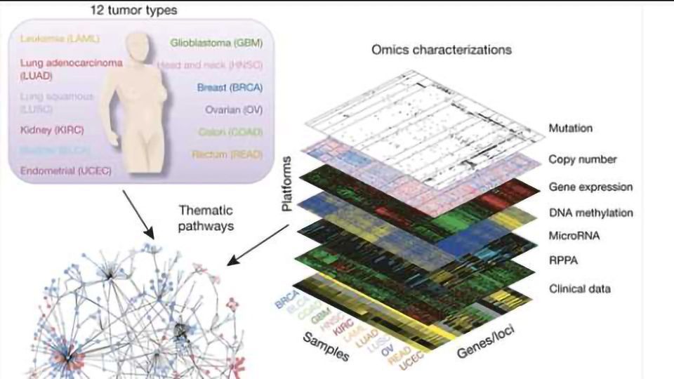 Translating the Cancer Genome: Computational tools inform therapeutic decisions content piece image