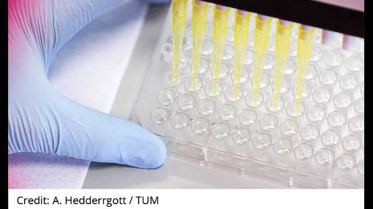 Cancer Immunotherapy: Identifying Suitable Antigens Using Mass Spec
