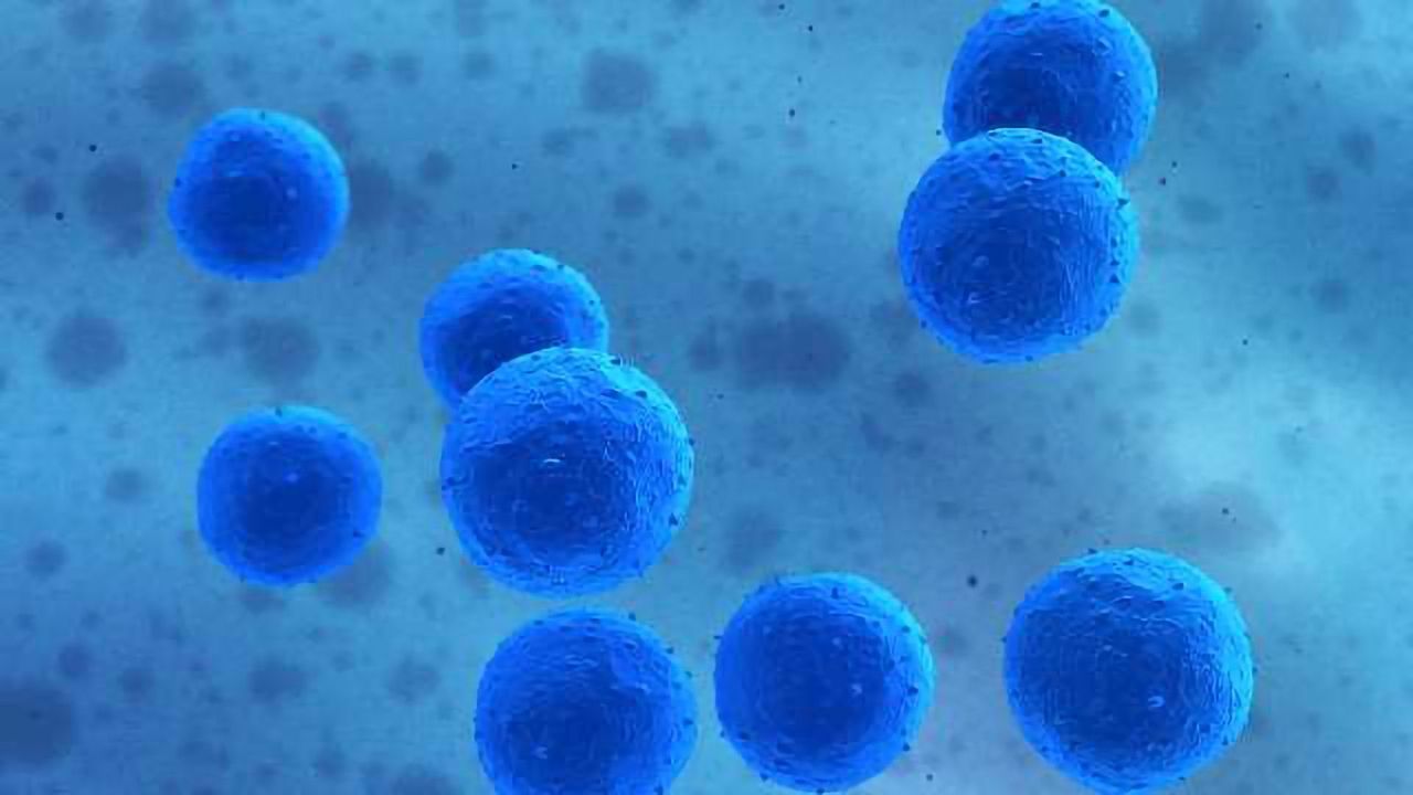 Detecting Pathogens in Wastewater