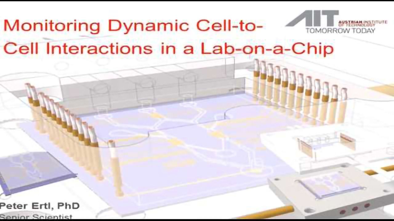 Monitoring Dynamic Interactions of Tumor Cells with Tissue and Immune Cells in a Lab-on-a-Chip