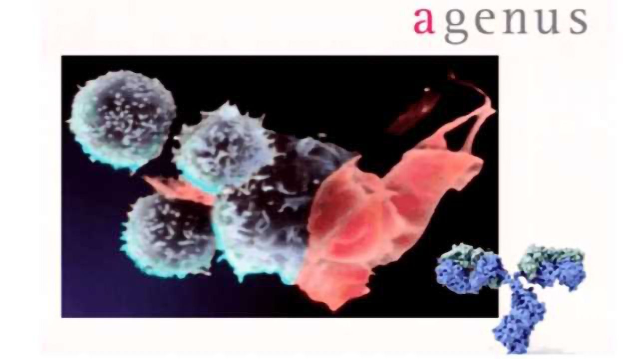 Integration of High Throughput ‘Omic Platforms into Antibody Discovery