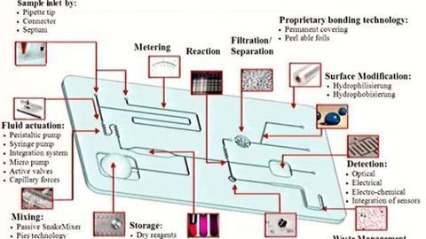 Microfluidic Chips and Cancer Treatment