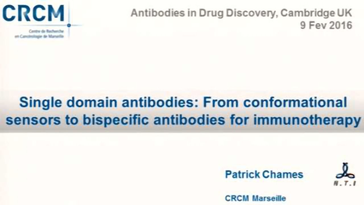 Single Domain Antibodies: From Conformational Sensors to Bispecific Antibodies for Immunotherapy