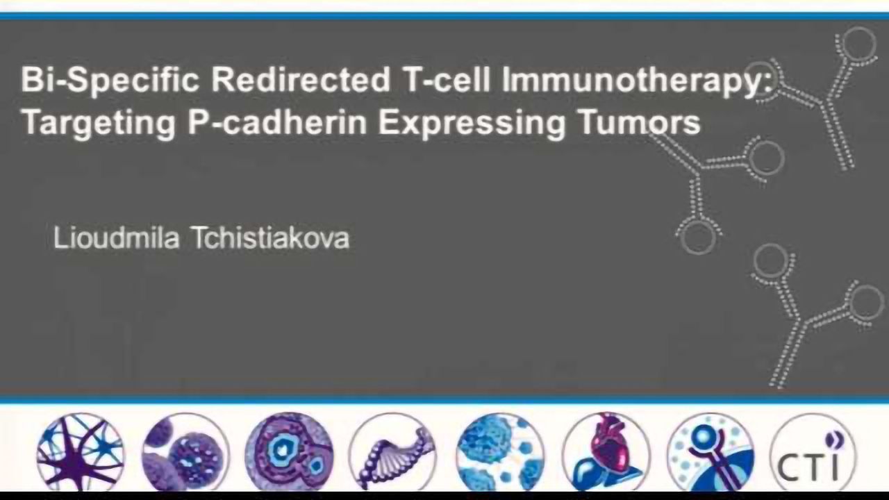 Bi-specific Redirected T-cell Immunotherapy Targeting P-cadherin Expressing Tumors