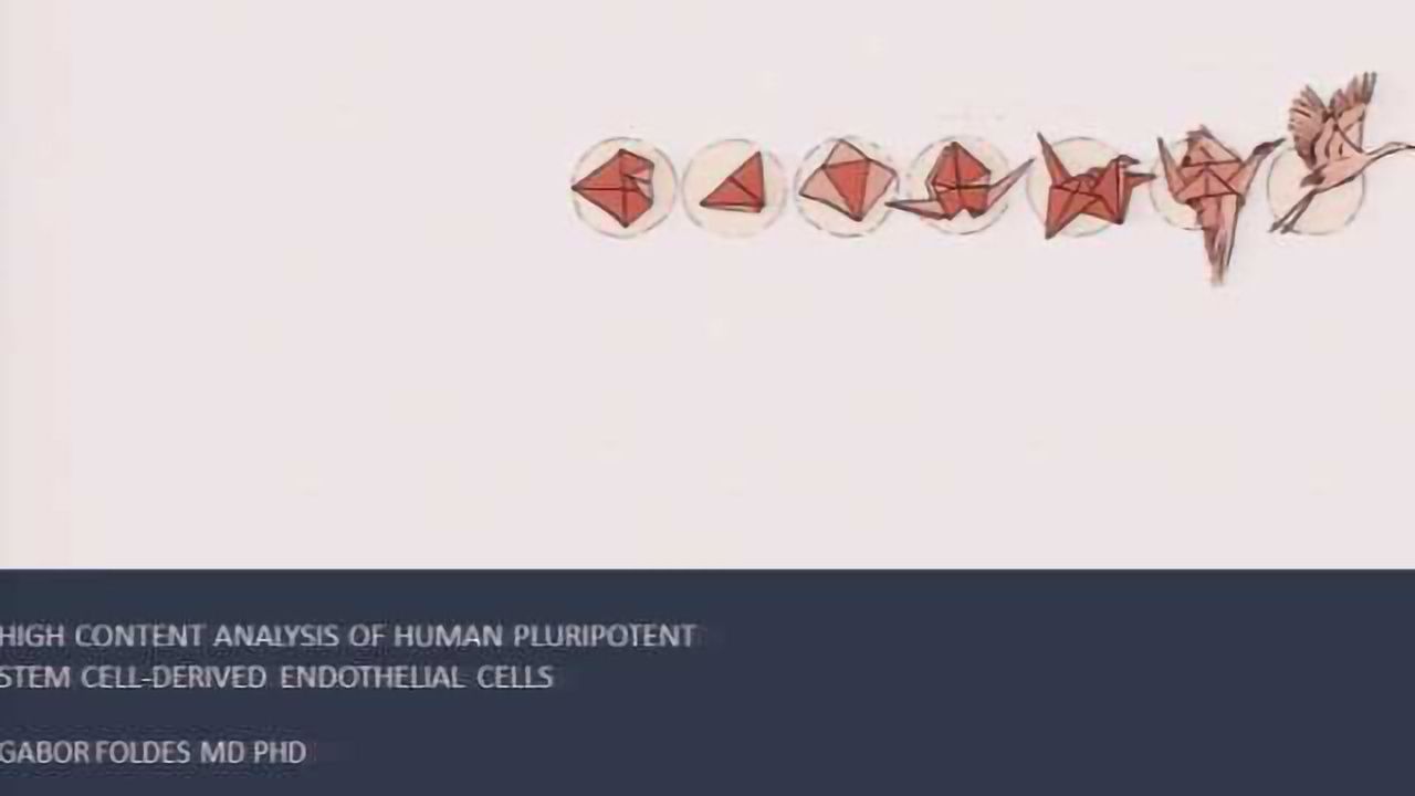 High Content Analysis Of Human Pluripotent Stem Cell-Derived Endothelial Cells