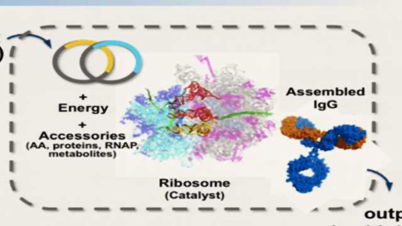 Discovery and Manufacturing Strategies for Novel, Homogeneous ADC Molecules