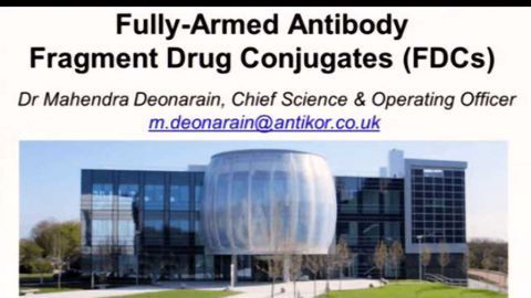 OptiLinked FDCs: Fully Armed Antibody Fragment Drug Conjugates