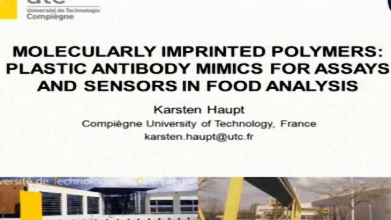 Molecularly Imprinted Polymers: Plastic Antibody Mimics for Assays and Sensors in Food Analysis