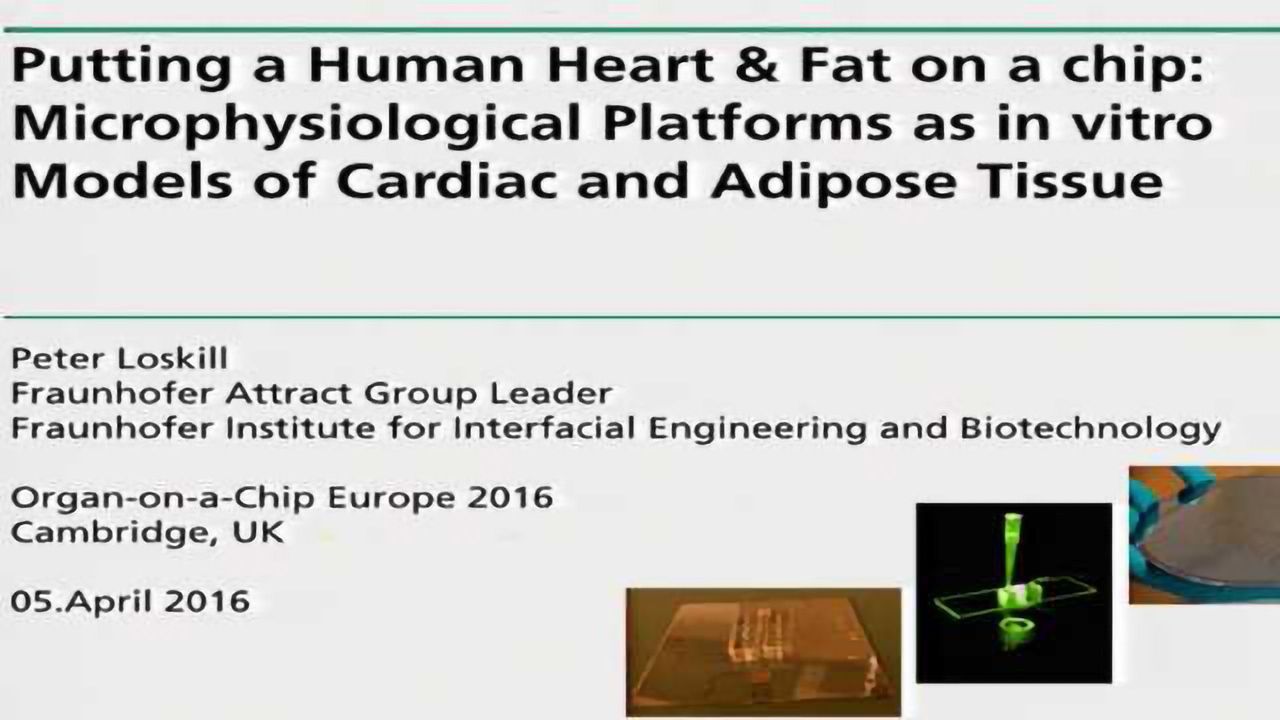 Putting a Human Heart & Fat on a Chip