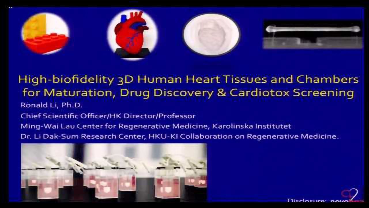 3D Human Pluripotent Stem Cell-Derived Heart-In-A-Jar