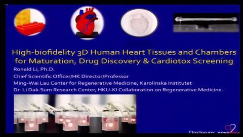 3D Human Pluripotent Stem Cell-Derived Heart-In-A-Jar