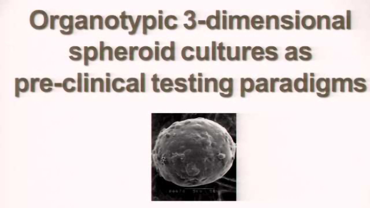 Organotypic 3-dimensional Spheroid Cultures Pre-clinical Testing Paradigms
