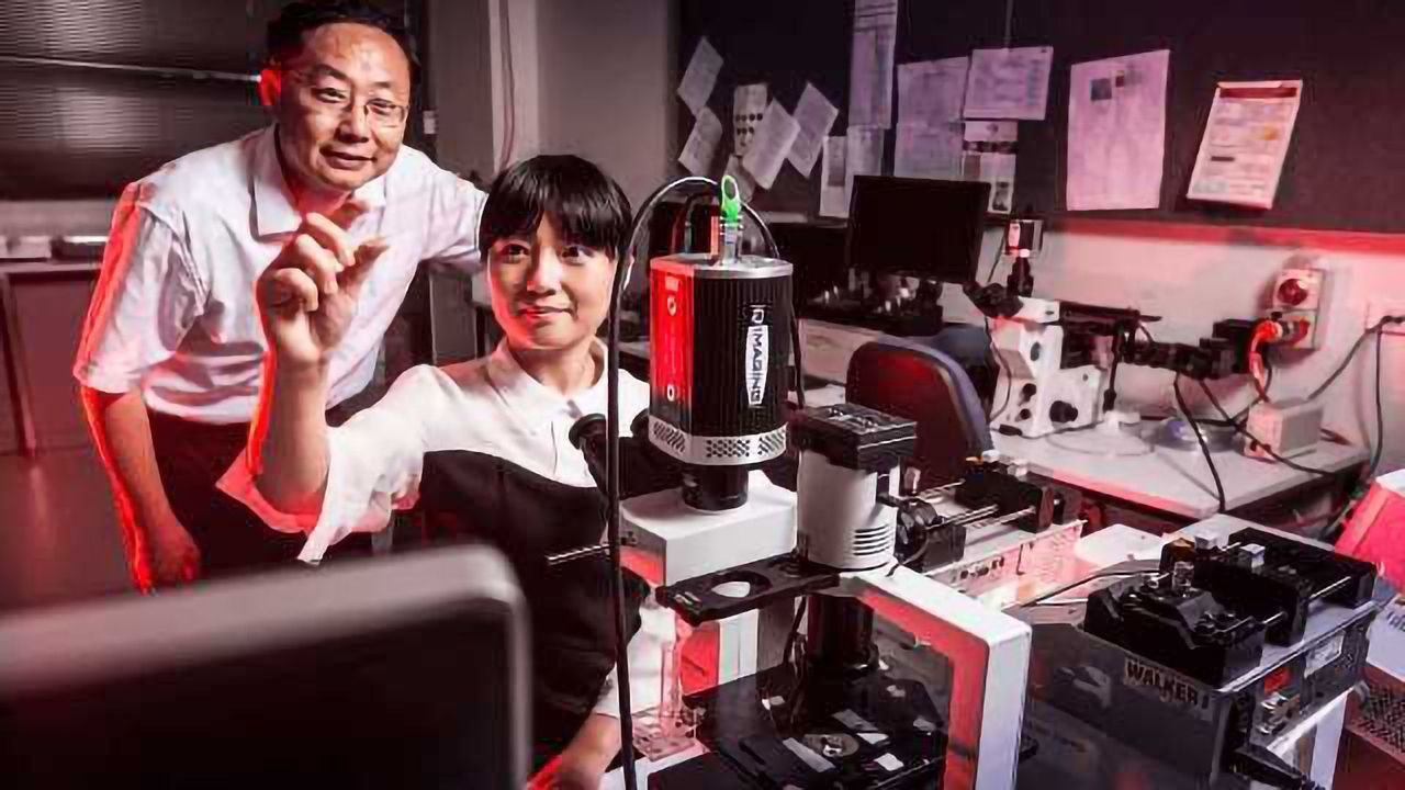 Faster, Easier Plasma Extraction