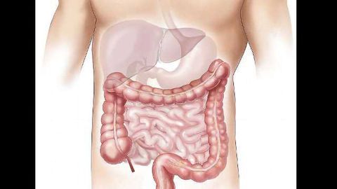 NIH/SBIR Grant for Liver-on-a-Chip