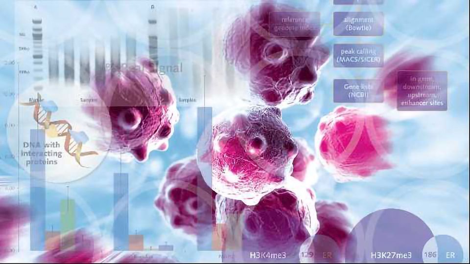 Are you Struggling with Chromatin in your ChIP assays? content piece image