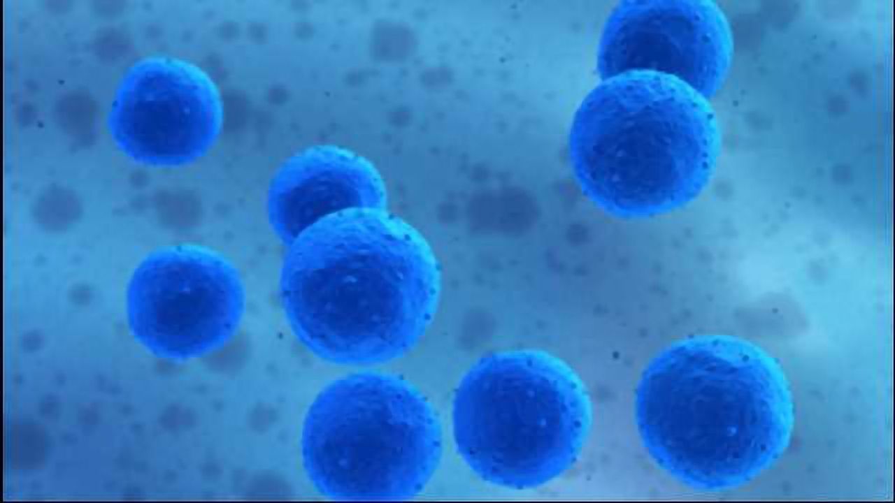 Development of Nanoscale Vehicles for Drug Delivery