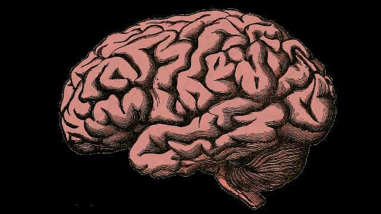 Activating and Suppressing Memorised Behaviour
