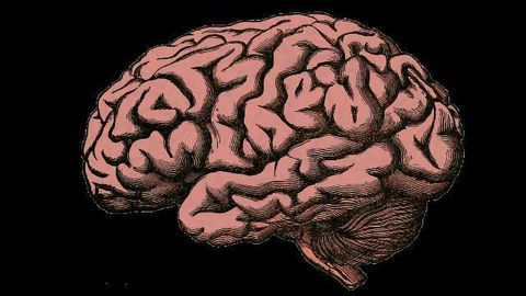Activating and Suppressing Memorised Behaviour