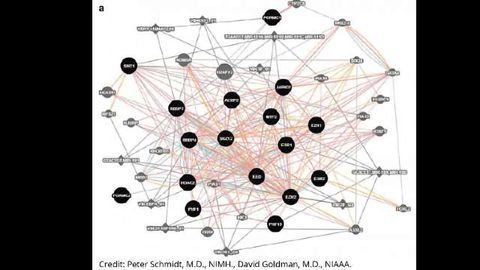 Potential Genetic Component in Severe PMS