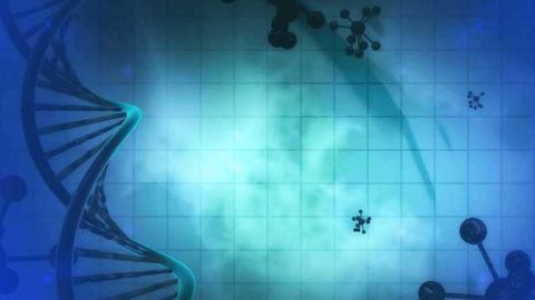 Aptuit And Chiesi Collaborate To Treat Idiopathic Pulmonary Fibrosis