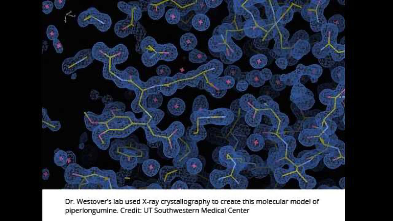Cancer-killing Mechanism of Pepper Plant Uncovered