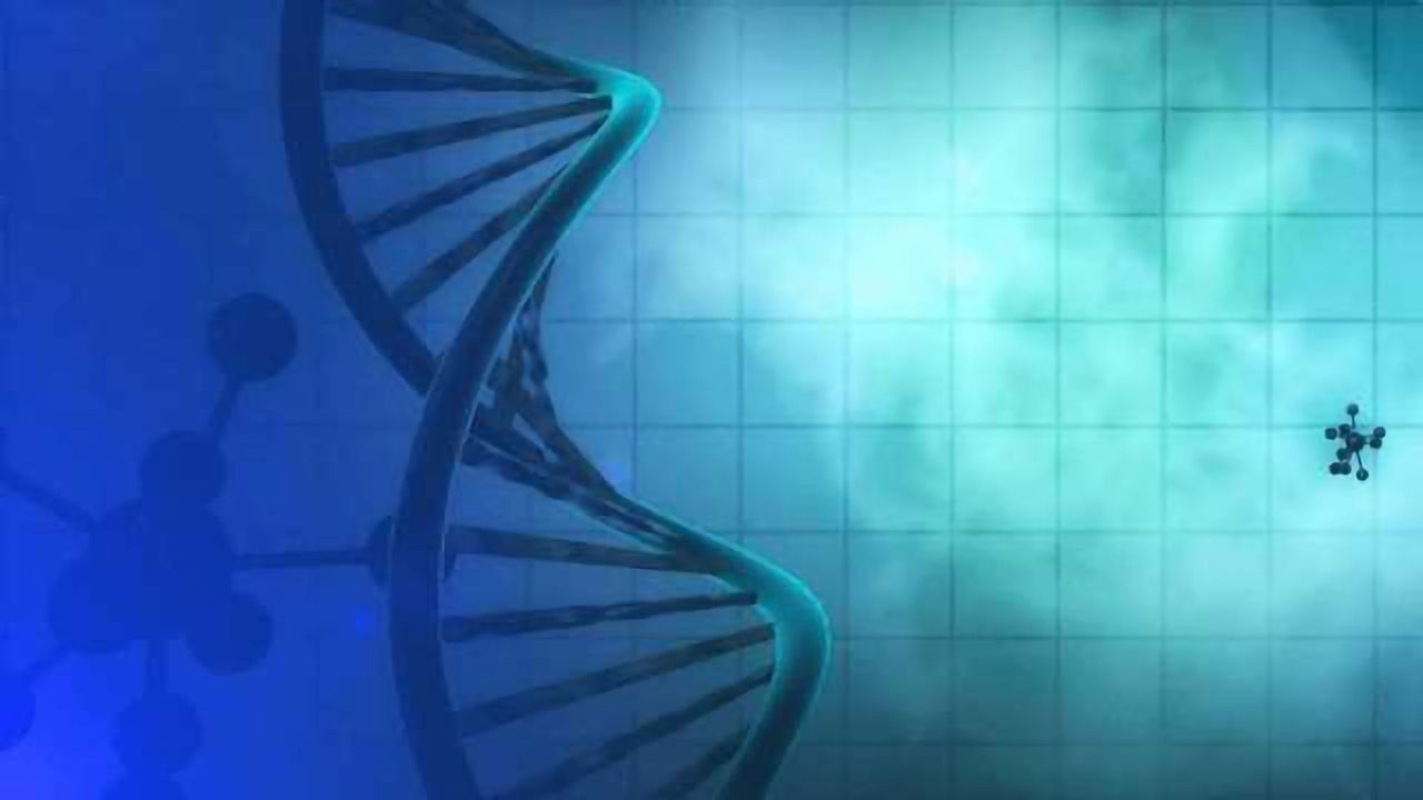 Epigenetic Therapy For Prader Willi Syndrome