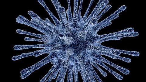 Yisheng's PIKA Rabies Vaccine gets FDA Orphan Drug Designation