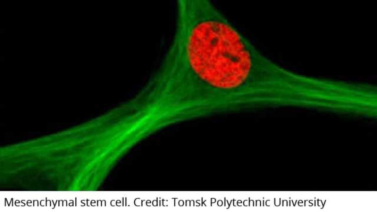 Magnetic Stem Cells for Gene Engineering