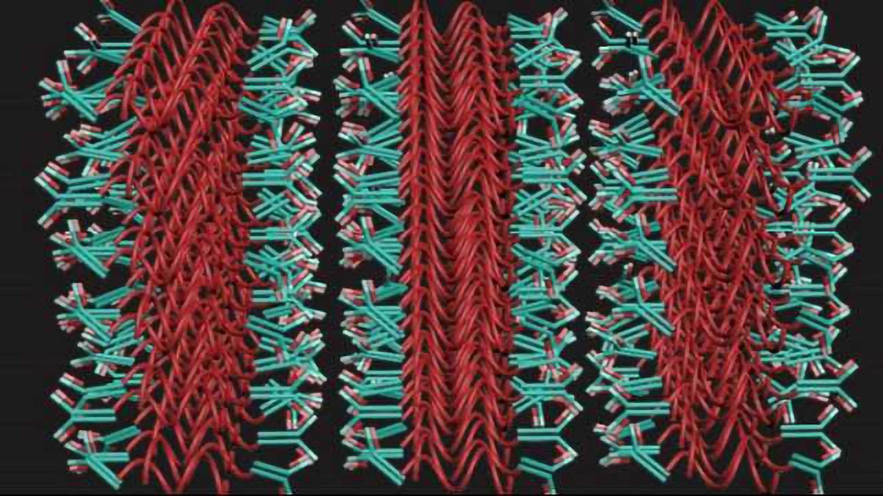 MIT develops 3D Antibody Array