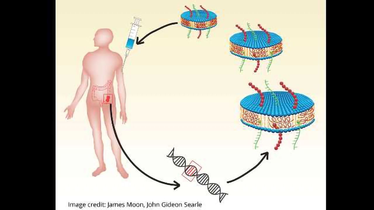 Vaccine Nanodiscs Show Promise in Fighting Cancer