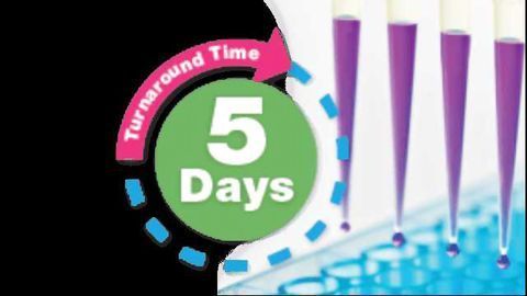 KINOMEscan® Kinase Screening & Profiling Services