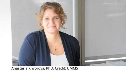 RNAi Technology Offers New Hope for Controlling Cholesterol