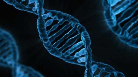 Scientists use light to control the logic networks of a cell