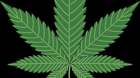 Full Spectrum Laboratories Secures U.S. Cannabinoid Biosynthesis Patent
